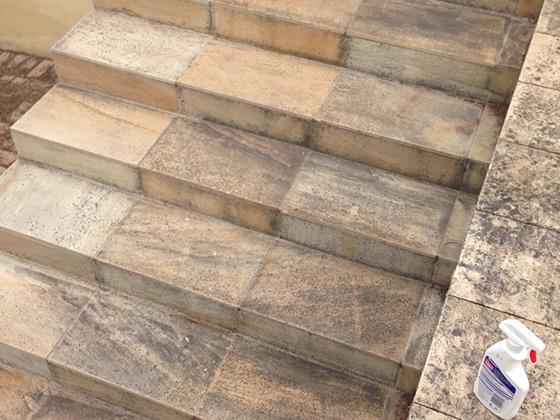 Sandstone Restoration