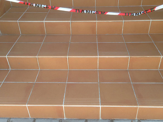 Terracotta Restoration